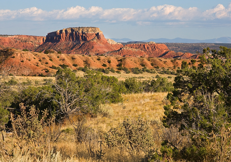 CSVCancerEvents_GatheringNativeAmericanCancerCare_featuredImage